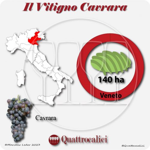 Il Vitigno Cavrara e la sua coltivazione in Italia