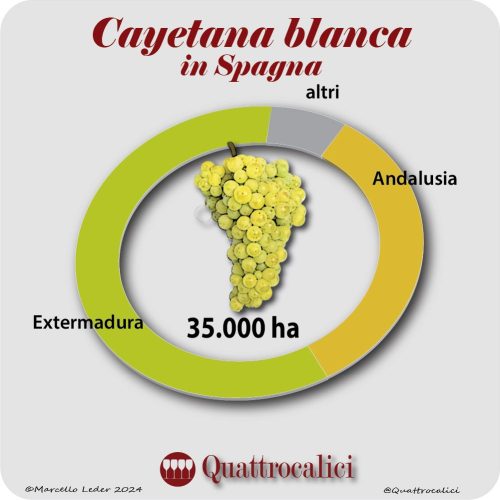 la cayetana blanca in spagna