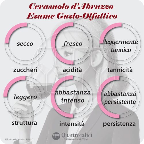 L'esame gustativo dei vini Cerasuolo d'Abruzzo