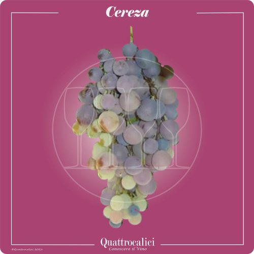 Vitigno  Cereza