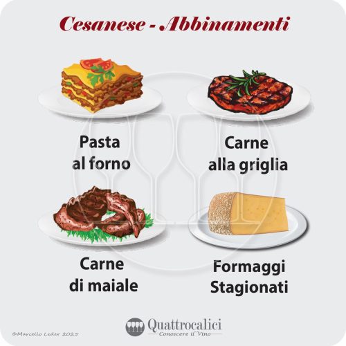 Gli abbinamenti al cibo dei vini Cesanese