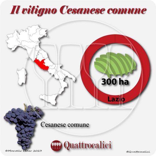 Il Vitigno Cesanese comune e la sua coltivazione in Italia