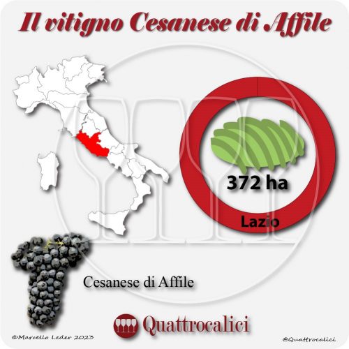 Il Vitigno Cesanese di Affile e la sua coltivazione in Italia