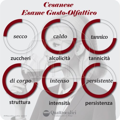 L'esame gustativo dei vini Cesanese