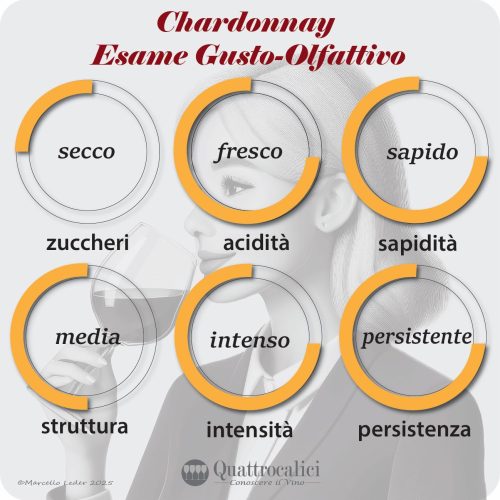 L'esame gustativo dei vini chardonnay