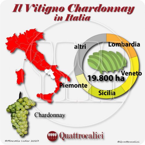 Il Vitigno Chardonnay e la sua coltivazione in Italia