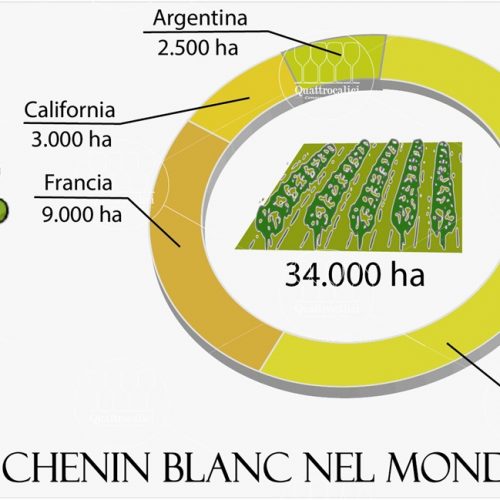 vitigno chenin blanc