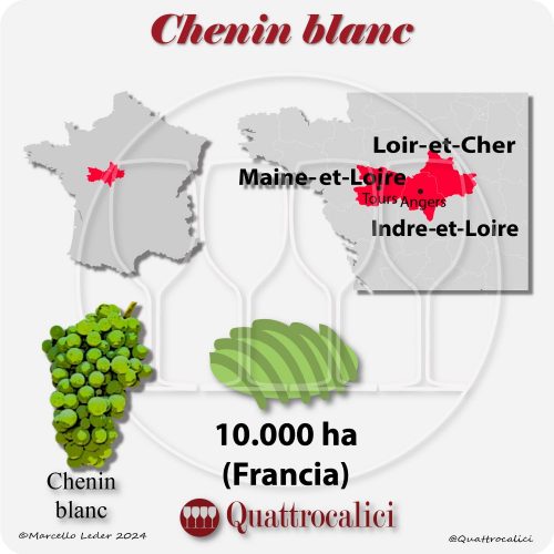 Lo Chenin blanc in Francia