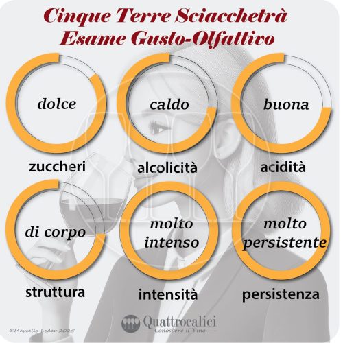 cinque terre sciacchetrà esame gustativo