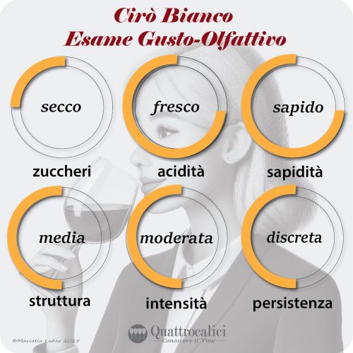 L'esame gustativo dei vini Cirò bianco