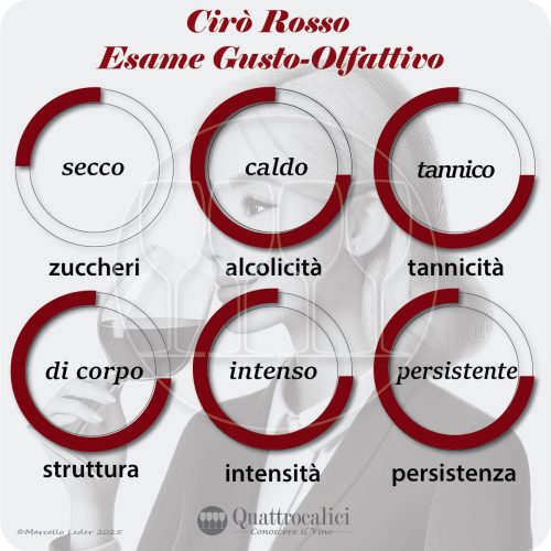 L'esame gusto-olfattivo dei vini Cirò Rosso