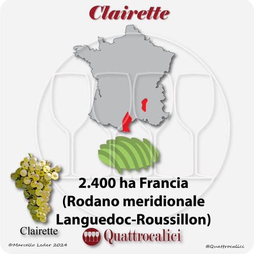 Il vitigno Clairette in Francia