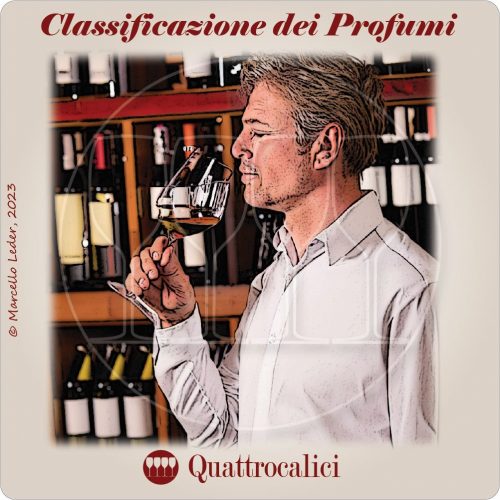 la classificazione dei profumi del vino