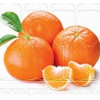 Clementine del Golfo di Taranto IGP