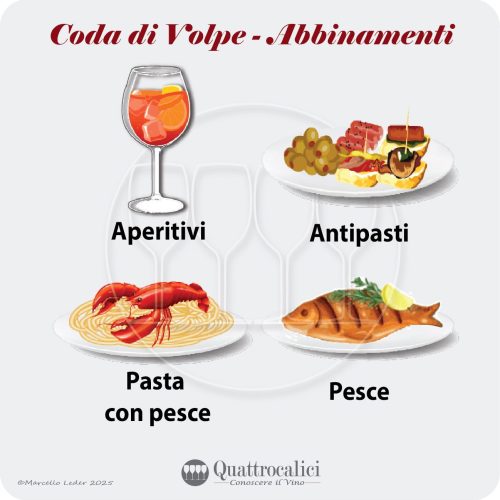 L'abbinamento al cibo dei vini Coda di Volpe