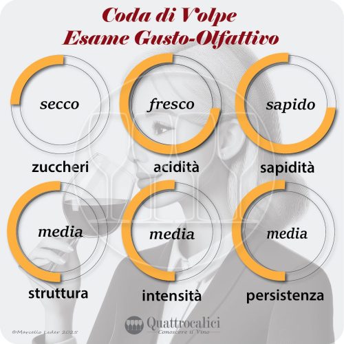 L'esame gustativo dei vini Coda di Volpe