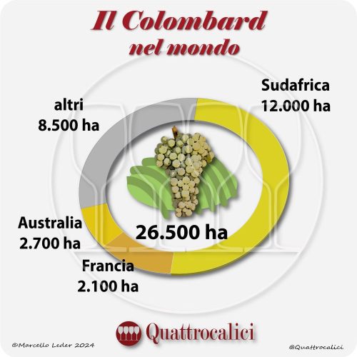 Il vitigno Colombard nel mondo