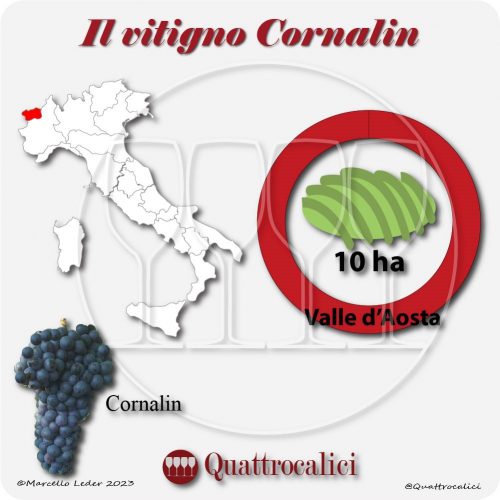 Il Vitigno Cornalin e la sua coltivazione in Italia