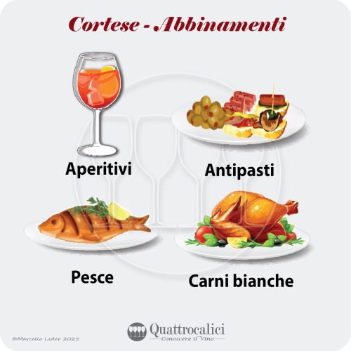 Gli abbinamenti al cibo del vino Cortese