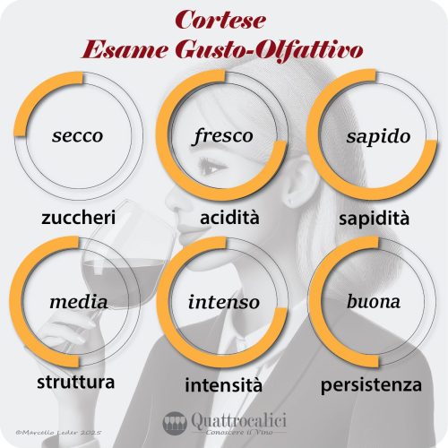 L'esame gustativo dei vini Cortese