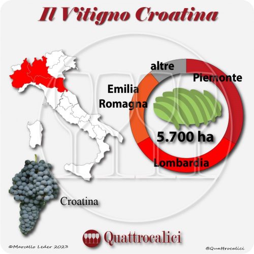 Il Vitigno Croatina e la sua coltivazione in Italia