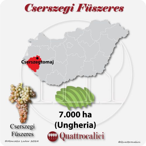 Il vitigno Cserzegi Fuszeres in Ungheria