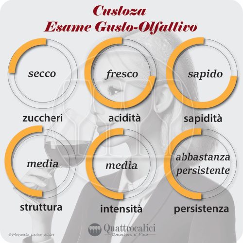 L'esame gustativo dei vini Custoza
