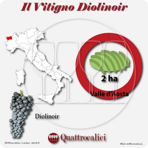 Il vitigno Diolinoir in Italia