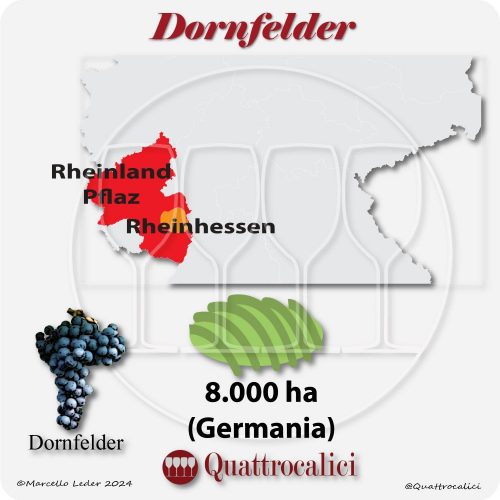 Il vitigno Dornfelder in Germania
