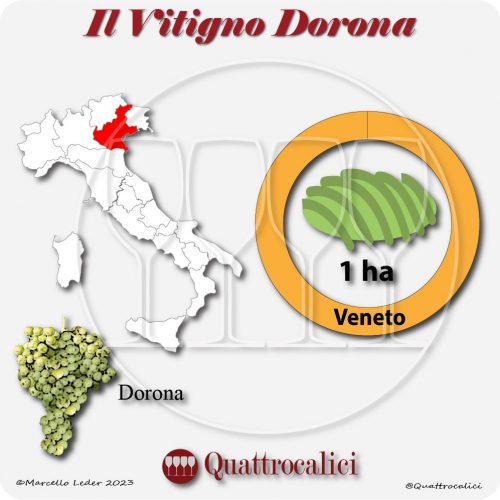 Il Vitigno Dorona e la sua coltivazione in Italia