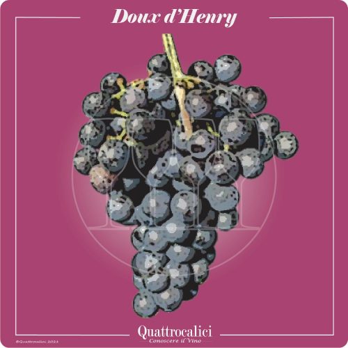 Vitigno  Doux d'Henry