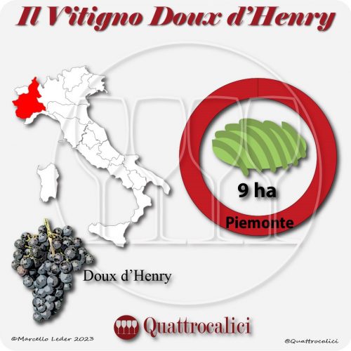 Il Vitigno Doux d'Henry e la sua coltivazione in Italia
