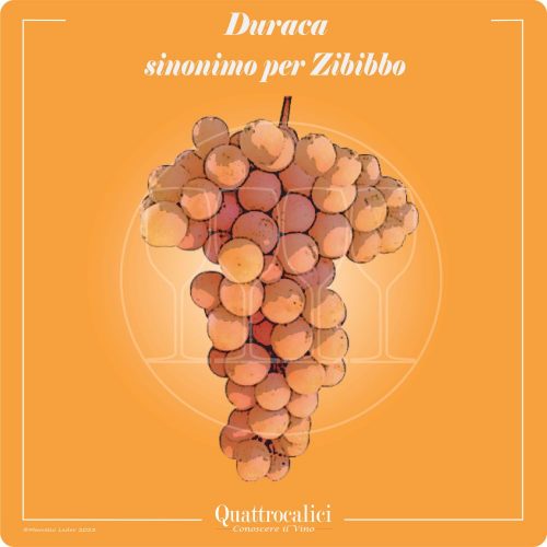 Vitigno  Duraca