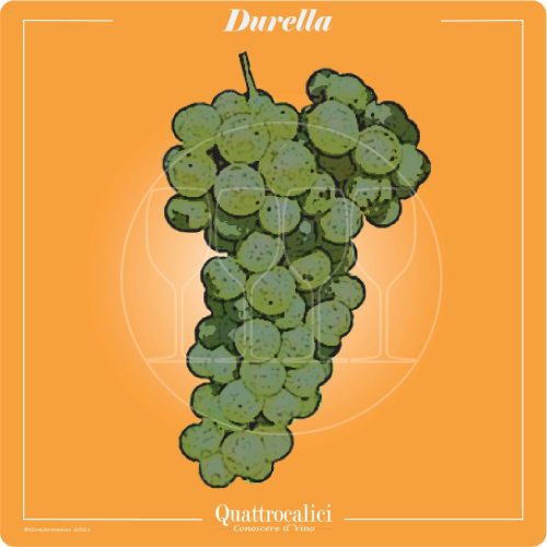 Vitigno  Durella