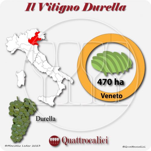 Il Vitigno Durella e la sua coltivazione in Italia