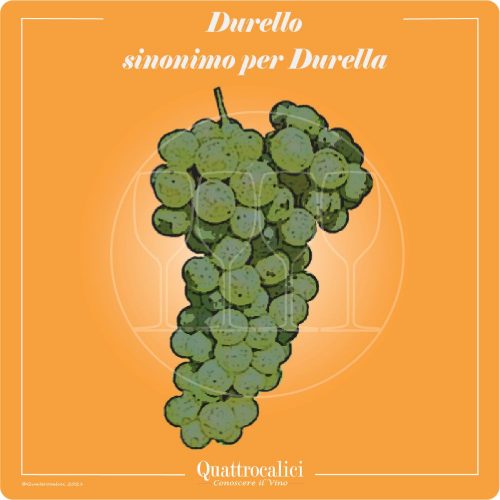 Vitigno  Durello