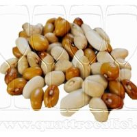 Fagiolo di Sarconi IGP