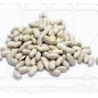 Fagiolo cannellino di Atina DOP