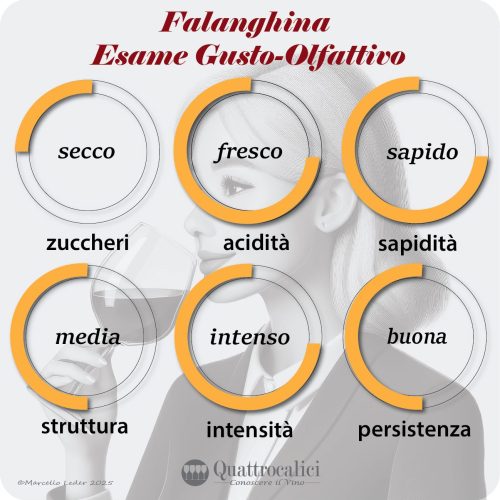 L'esame gusto-olfattivo dei vini Falanghina