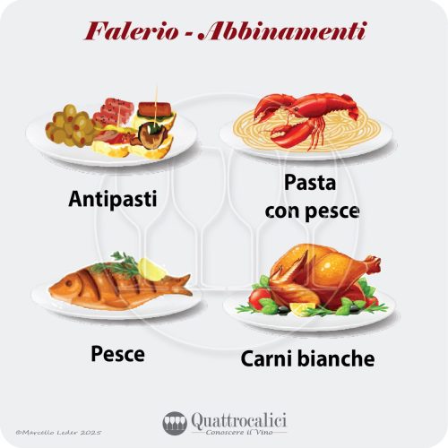 Gli abbinamenti al cibo del vino Falerio