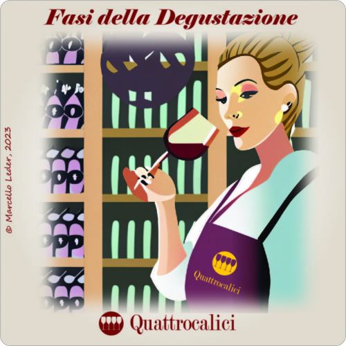 fasi della degustazione - i quiz sul vino di quattrocalici