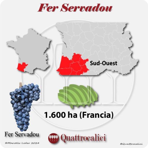 il vitigno fer servadou in francia