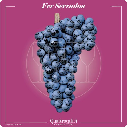 il vitigno Fer Servadou