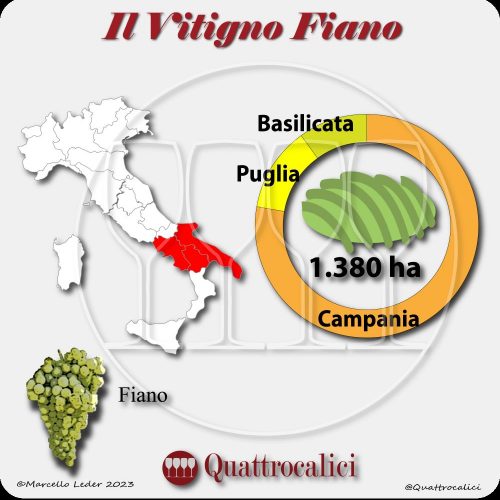 Il Vitigno Fiano e la sua coltivazione in Italia