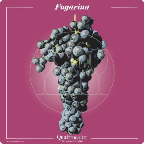 Vitigno  Fogarina