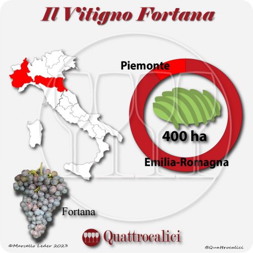 Il Vitigno Fortana e la sua coltivazione in Italia