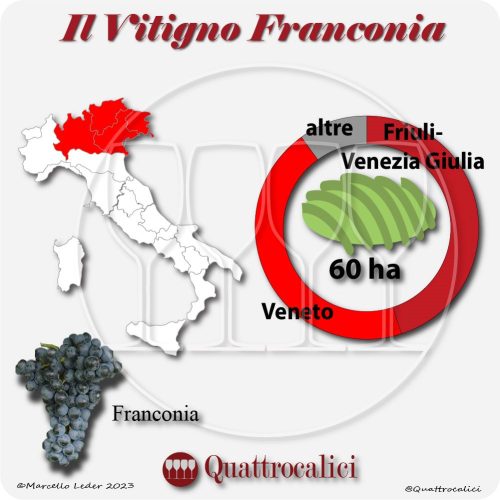 Il Vitigno Franconia e la sua coltivazione in Italia