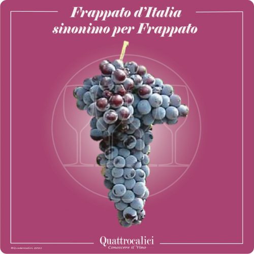 Vitigno  Frappato d’Italia