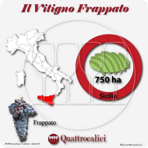 Il Vitigno Frappato e la sua coltivazione in Italia