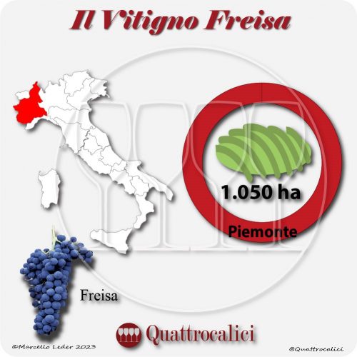 Il Vitigno Freisa e la sua coltivazione in Italia